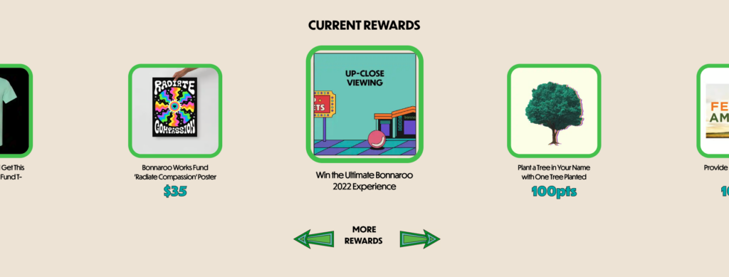 Bonnaroo offers a loyalty program called "Bonnaroo Rewards"